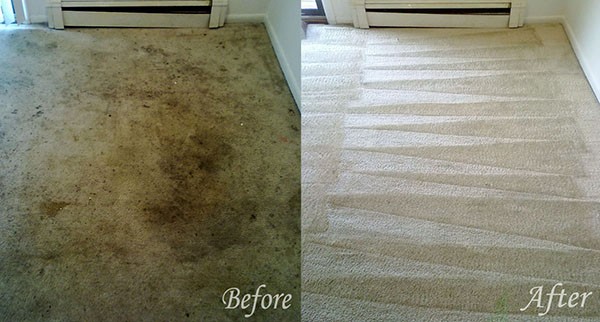 jupiter psl carpet cleaning before after 600x322